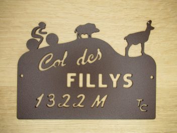 Trophée du Col des Fillys
